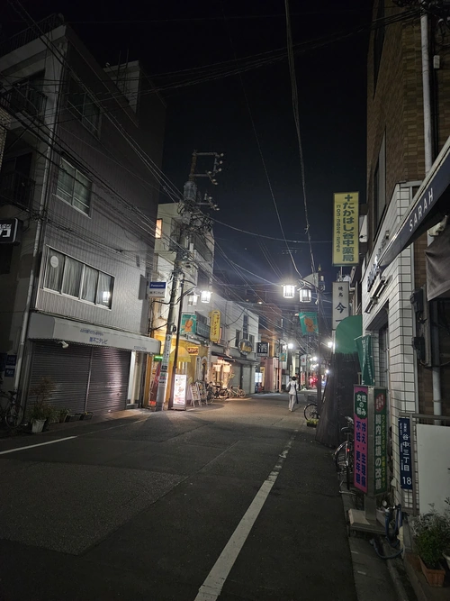 Le quartier Yanaka, pile ce qu'on voulait : le vieux Tōkyō à hauteur de mini-dinosaure.