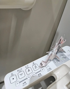 Les illustres toilettes et leurs Grandes Eaux Musicales.
