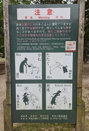 Nara Deer Fighter - Special Moves
On note qu'elles attaquent les filles.
