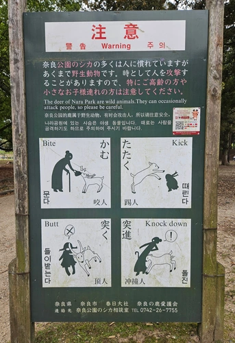 Nara Deer Fighter - Special Moves
On note qu'elles attaquent les filles.