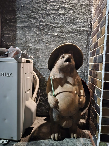 Les tanukis sont devant toutes les maisons et les commerces, avec leurs testicules magiques.