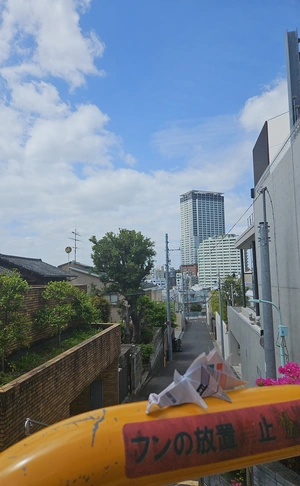 En chemin vers Shibuya