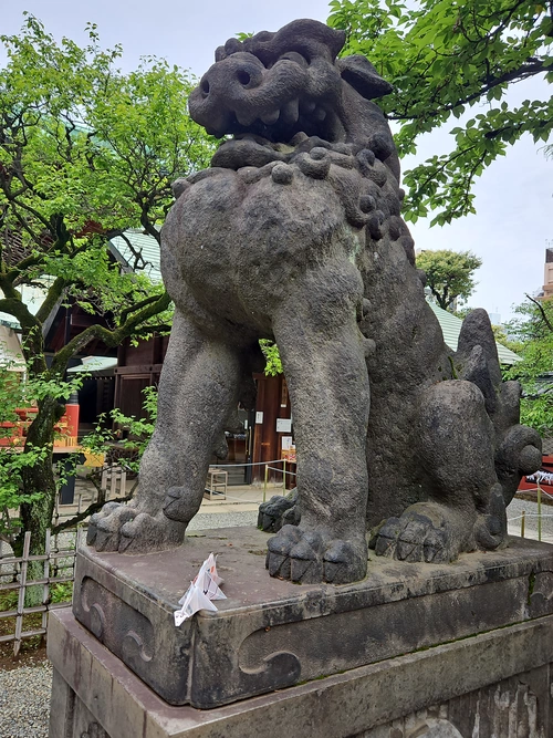 Lion de Nezu